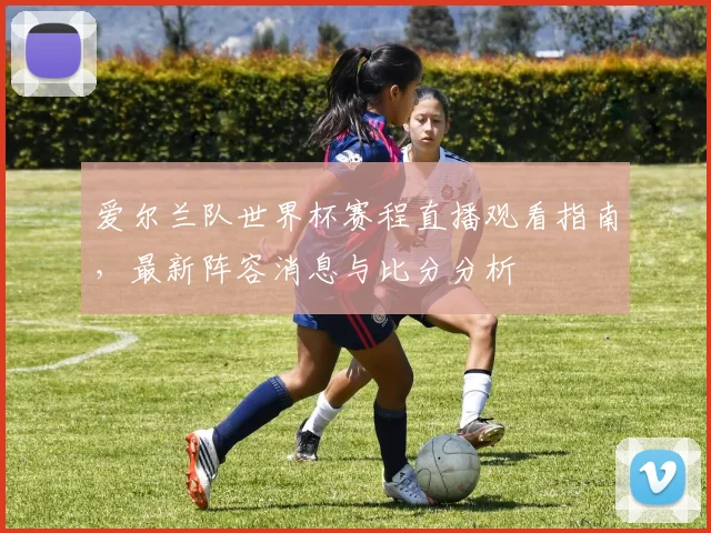 爱尔兰队世界杯赛程直播观看指南,最新阵容消息与比分分析