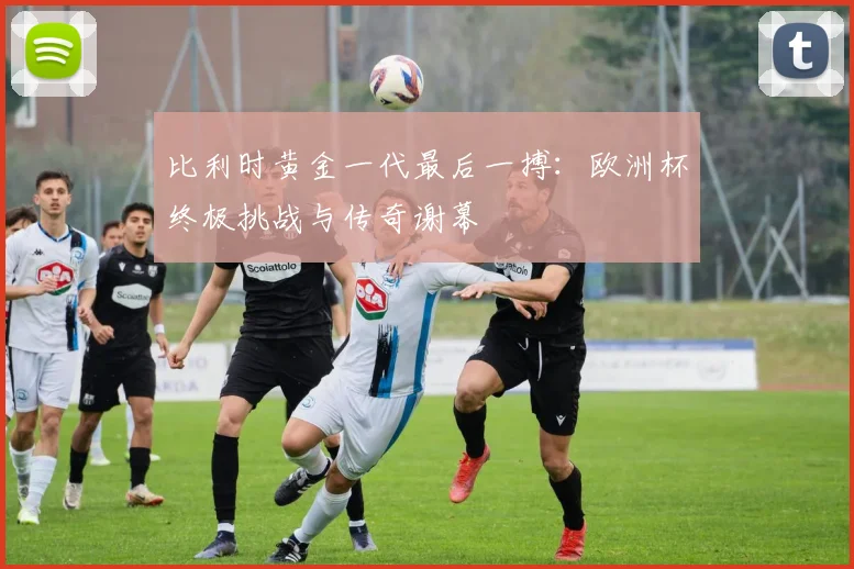 比利时黄金一代最后一搏：欧洲杯终极挑战与传奇谢幕